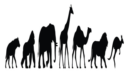 Wild animals stand in a line to showcase their distinct silhouettes against a plain white field. © Sadee Girl