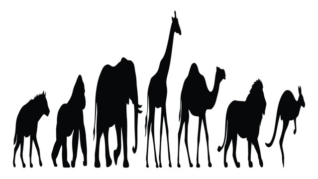 Wild animals stand in a line to showcase their distinct silhouettes against a plain white field.