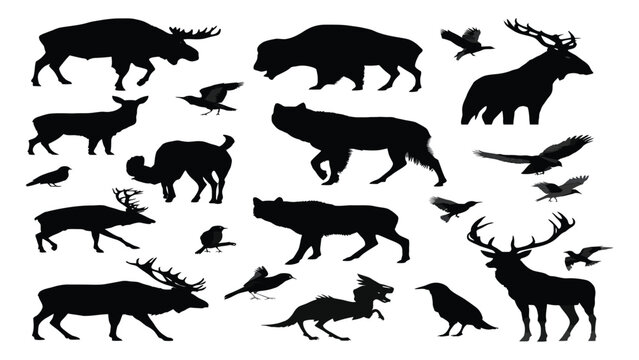 Wildlife silhouettes display a diverse collection of North American animals including bears, wolves, moose, and various birds of prey arranged on a white background.