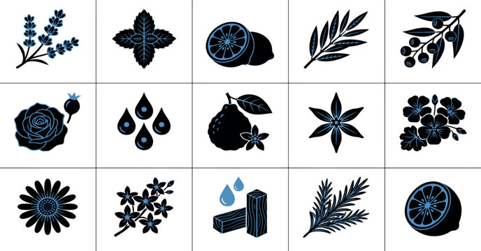  Botanical Essential Oil Ingredient Icon Grid for Natural Fragrance Aromatherapy and Cosmetic Product Design