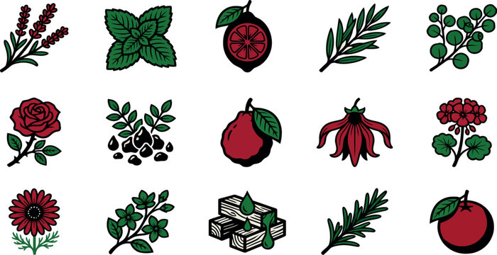 Colored Botanical Essential Oil Ingredient Icon Set for Natural Fragrance Aromatherapy and Cosmetic Design