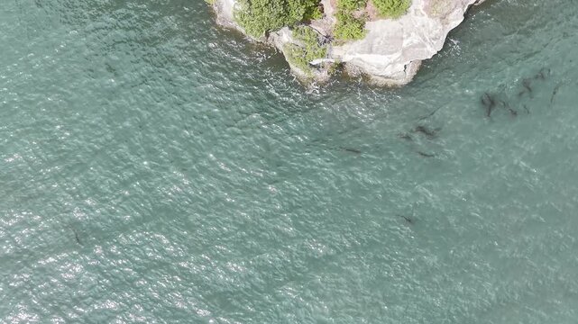 MATSUSHIMA, JAPAN.Forested island views April 28 2026