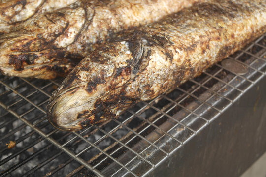 Many grilled snakehead fishes on barbeque grill	