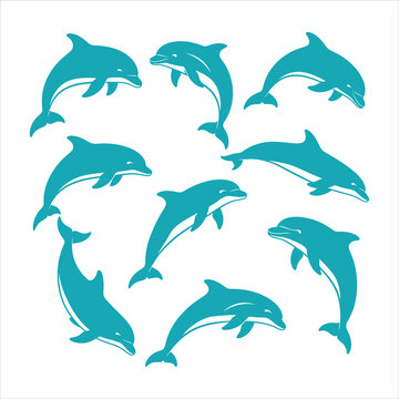Teal dolphins swimming isolated on white