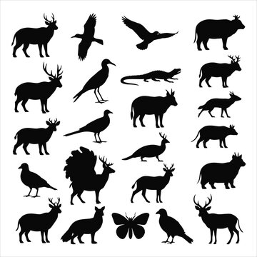 Black silhouettes of various animals on white background