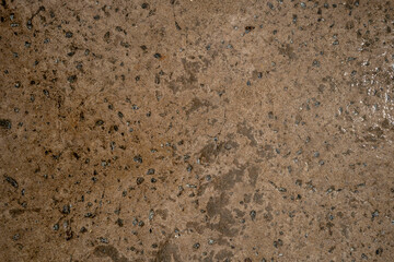 Fototapeta premium A close-up macro shot of a rough, wet concrete surface with scattered dark pebbles, cracks, and moisture reflections. The texture is raw and industrial, with tonal variation across the frame.