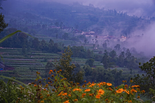 Rugged volcanic terrain and lush vegetation on the slopes of active Mount Merapi in Indonesia