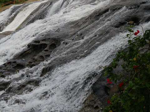 Close u pof water cascading down a sloping waterfalls with flowers on the edge.