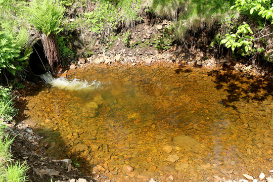 Brown water