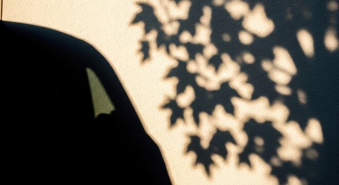 Tree leaf shadows and car silhouette on textured wall
