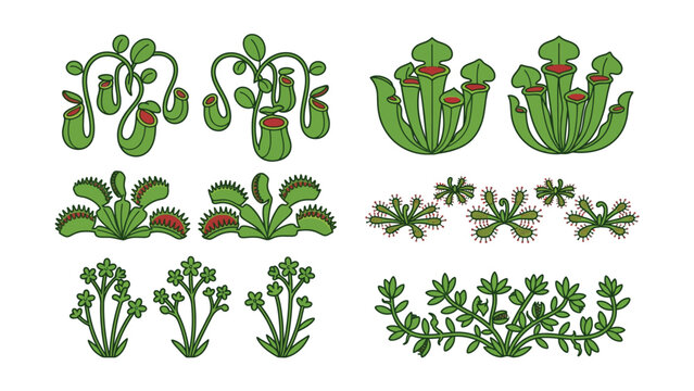 Carnivorous plants vector asset set for design elements