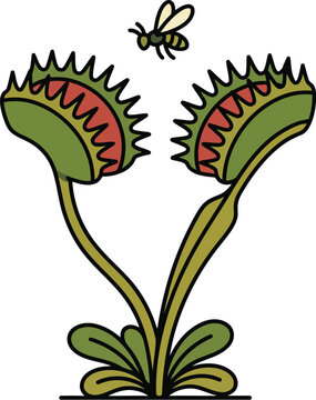 Venus flytrap carnivorous plant with insect vector illustration