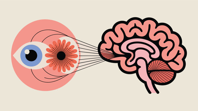 Conceptual illustration showing lines of vision connecting a human eye and a flower to the visual processing centers of the brain.