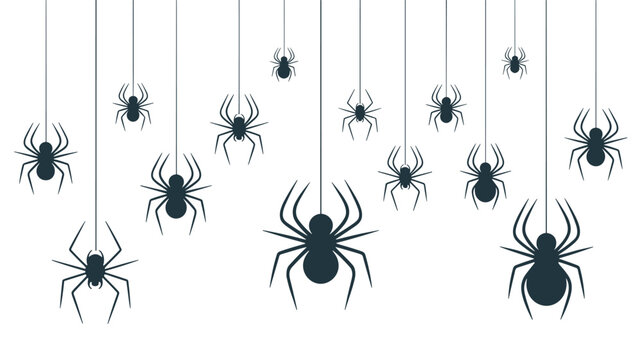 Group of black spiders hangs from invisible silken threads at various heights against a clean white background for Halloween themes.