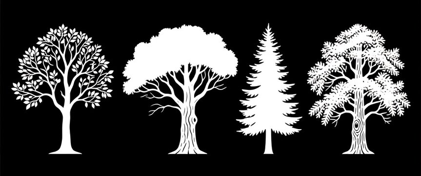 Stylized white trees isolated on black background representing nature.