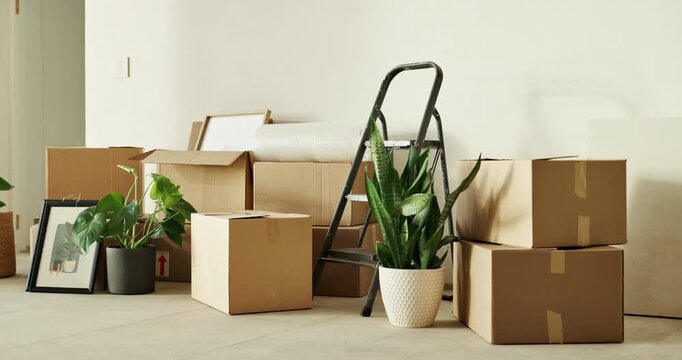 Real estate, boxes and decor in house with moving, new home and investment in rental. Residential, mortgage and property with cardboard containers, capital assets and relocation to starter apartment.