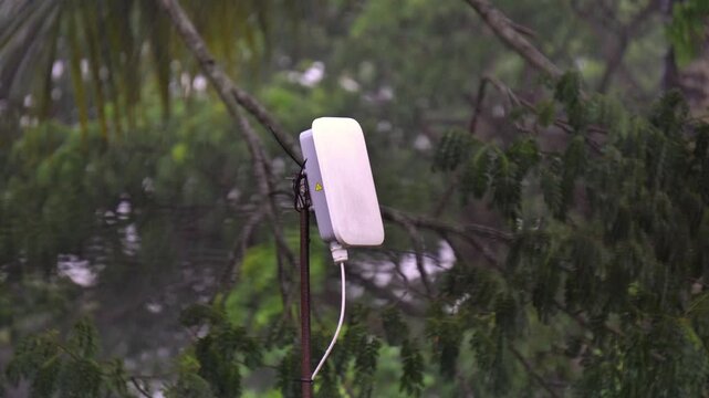 Outdoor Wireless Internet Receiver Device Installed on Pole During Rainy Monsoon Storm. Broadband Internet Receiver Unit Mounted Outdoors with Wet Forest Tree Background. Wi-Fi Network Receiver CPE .