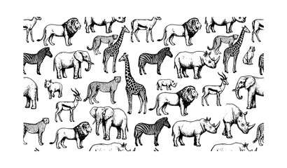 African wildlife seamless pattern with safari animals including lion elephant giraffe zebra rhino cheetah on white background vector © Shahanaj
