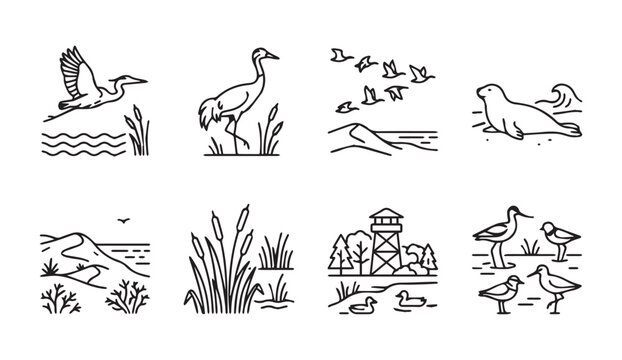 Nature scene icons with birds dunes water and a seal in minimalist line art style