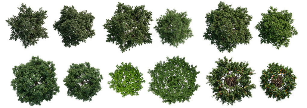 Top view tree set isolated on white background, overhead green foliage collection for architectural rendering and landscape design plan