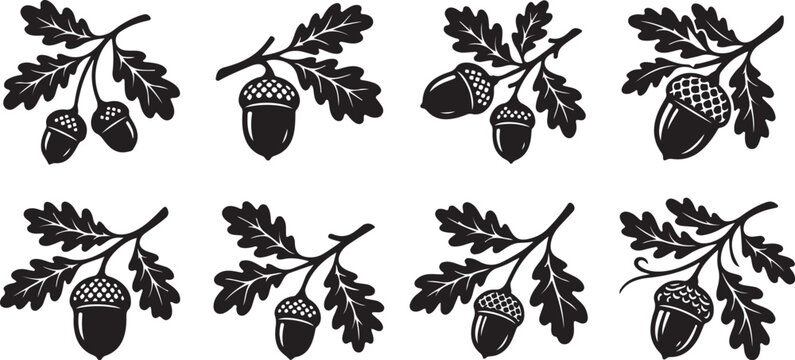 Black oak leaf and acorn icons, vector illustrations, set of 8