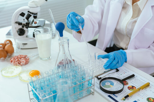 Food safety laboratory analyzing milk, eggs, and meat samples using scientific testing methods, supporting nutrition assessment, quality control, and contamination detection.