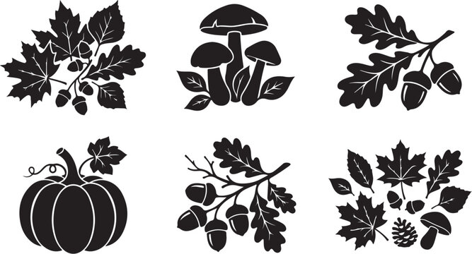 Autumn, fall icons, black, silhouette set, 6 vector graphics