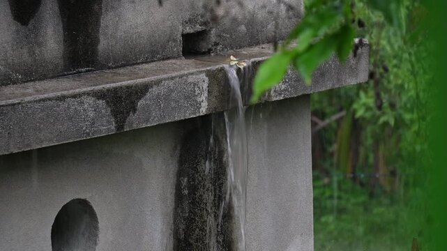 Rainwater Overflowing from Concrete Drainage System in Heavy Rain. Water Pouring out of Concrete Gutter during Rainstorm.