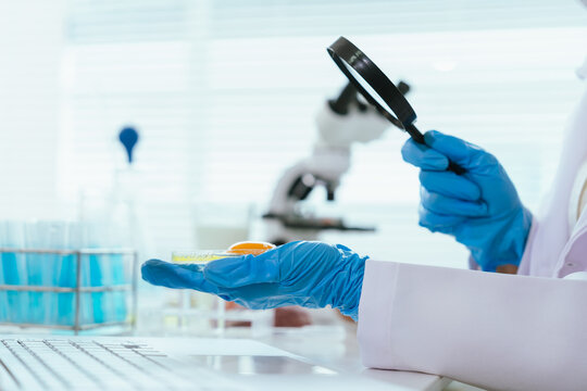 Food safety inspector examining an egg sample in a laboratory, conducting quality assessment, contamination screening, and microbiological testing for consumer safety.