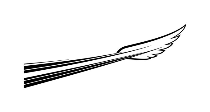 Black feather, wing, quill, vector illustration, icon, symbol