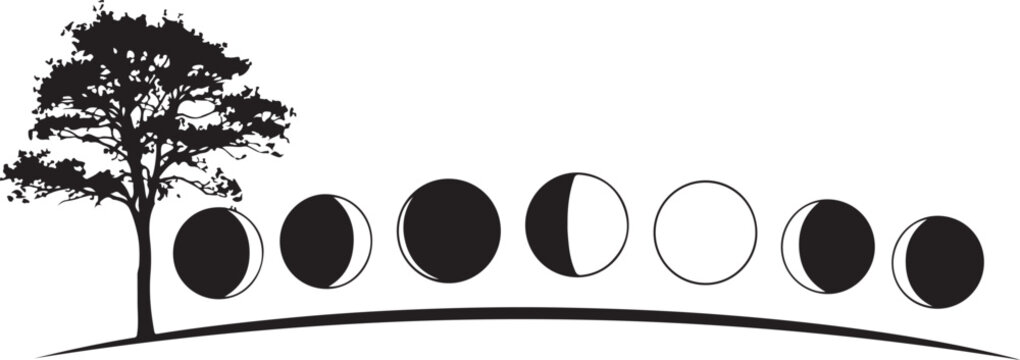 Moon phases, lunar cycle, tree silhouette, black vector icons, astronomy symbols