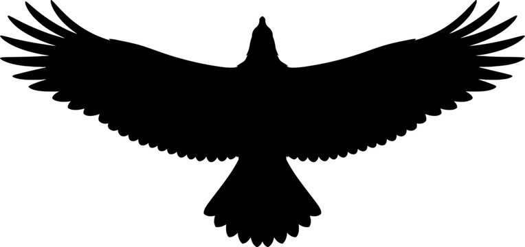 A large eagle spreads its wings and soars through the open sky freely.