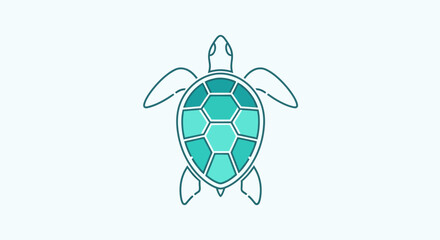 Turquoise turtle shell with flippers. © firoh