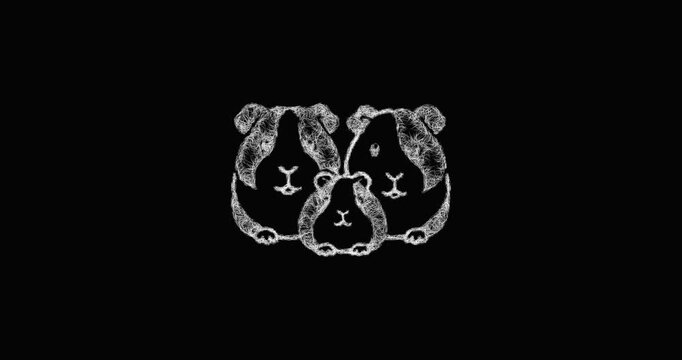 Sketch guinea pig family icon animation - smooth progressive reveal