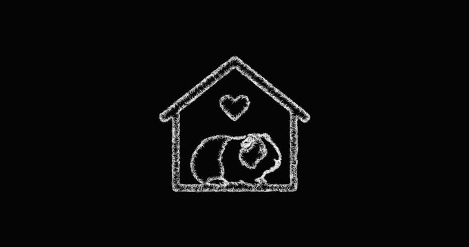 Sketch guinea pig adoption icon animation - smooth progressive reveal