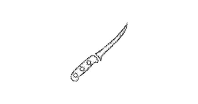 Sketch boning knife icon animation - smooth progressive reveal