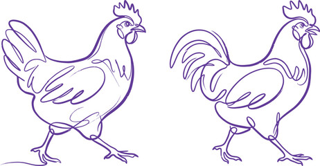 Fototapeta premium Hand drawn chicken rooster sketch illustration with domestic agriculture illustration livestock