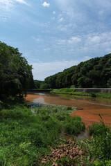 Fototapeta premium A pond turned reddish-brown due to a plankton bloom