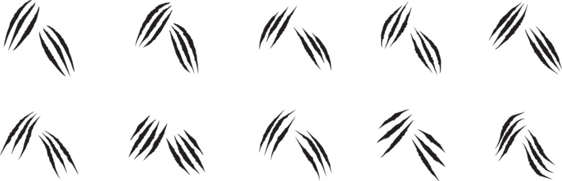 Sharp claw scratch mark set in bold black style with aggressive slashing lines and dynamic texture. Grunge horror elements perfect for gaming posters branding and edgy design themes. Isolated vector 
