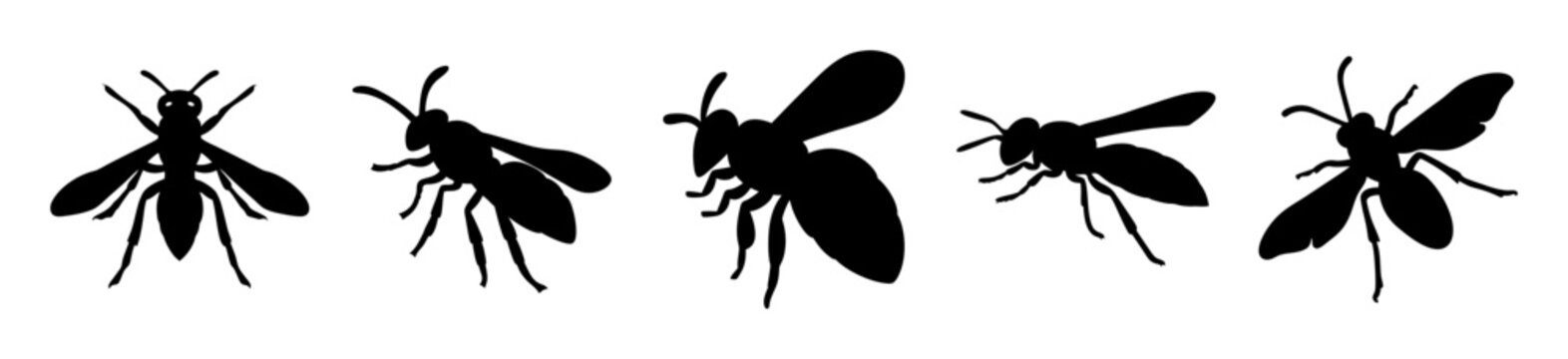 Black fly vector icons in a row - Sleek black fly icons arranged horizontally, perfect for medical, nature, or design projects. Clean vector style with transparent background.