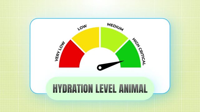 Hydration level animal tracking health indicator gauge animation showing water balance status from very low to high critical level 4k video