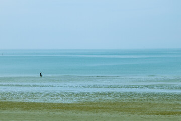 Fototapeta premium Distant Figure Walking Along a Sandy Beach Horizon
