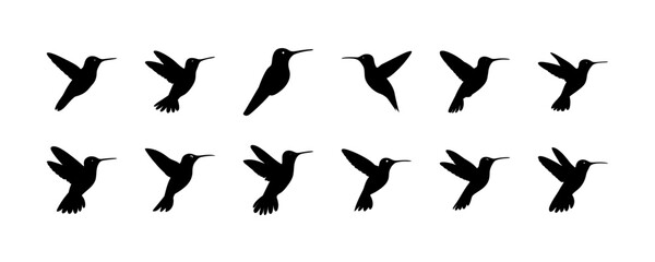 Hummingbird flying in different poses - Set of stylized black hummingbirds captured mid-flight with dynamic wing poses in various angles. © Tanjila