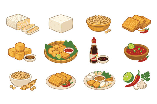 Traditional Indonesian Soybean Food Collection with Tempeh Tofu and Sambal Illustrations