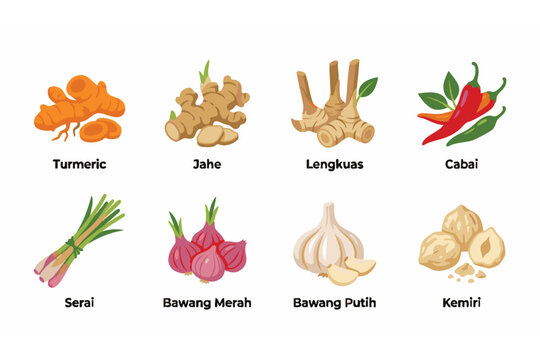 Collection of Indonesian Traditional Herbs and Spices Illustration Set for Cooking