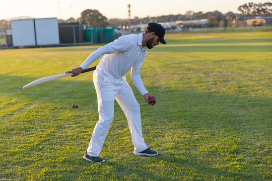 Cricket bat is leaning while red balls are resting on mown cricket field with long shadows