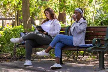 Obraz premium Female friends sitting on park bench reading book and sipping takeaway cup, wearing white sneakers