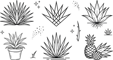 Blue agave plant and tequila production line icon set with succulent leaves cactus potted pineapple vectors © PJ DeSign