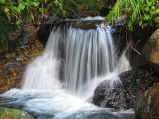 Small waterfall cascade flowing over rocks into a clear pool inside a lush tropical rainforest © DallihPF