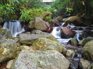 Small waterfall cascade flowing over rocks into a clear pool inside a lush tropical rainforest © DallihPF